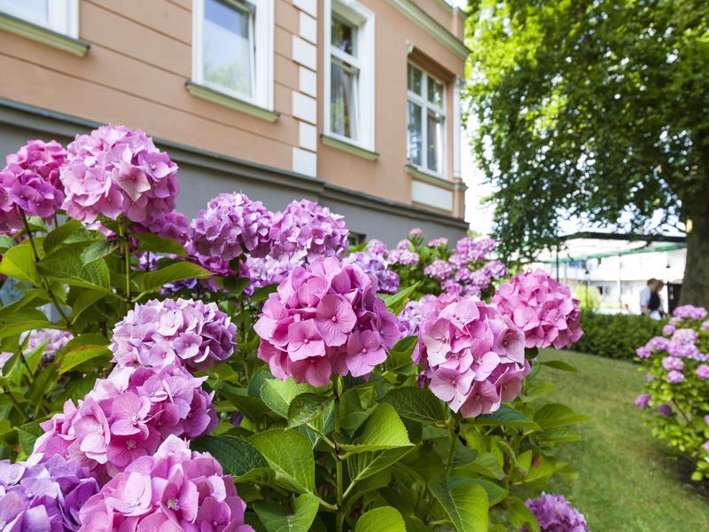 Ostseehotel Villen Im Park - Ein Rovell Hotel Heringsdorf Dış mekan fotoğraf